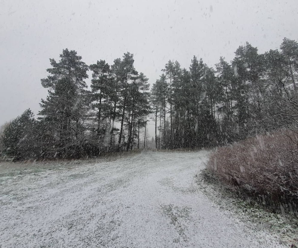 Zima zawitała na Warmię i Mazury. Spadł pierwszy śnieg!