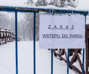Ptasia grypa w parku w Wejherowie