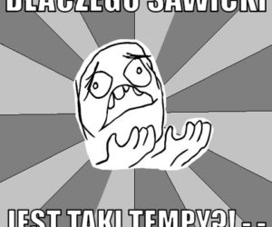 Marek Sawicki MEMY