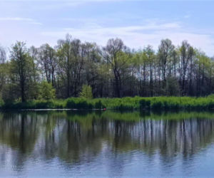 Tramwaj wodny Szczecin - Mescherin - Gartz