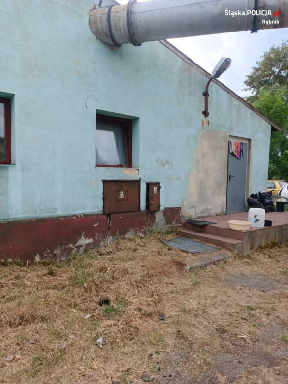 Kryminalni z rybnickiej komendy zatrzymali mężczyzn podejrzanych o kradzieże samochodów