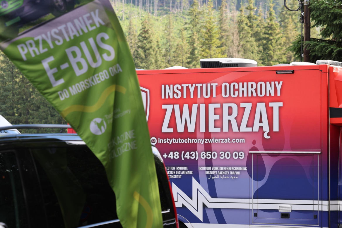 Protest przeciw przewozom konnym do Morskiego Oka