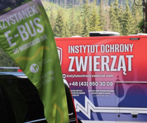 Protest przeciw przewozom konnym do Morskiego Oka