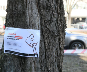 Wielkie zmiany obok domu Kaczyńskiego. Ludzie są wściekli 