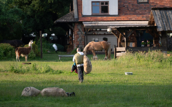 Chaos na "Farmie"! Bezwzględna decyzja i bolesne pożegnanie