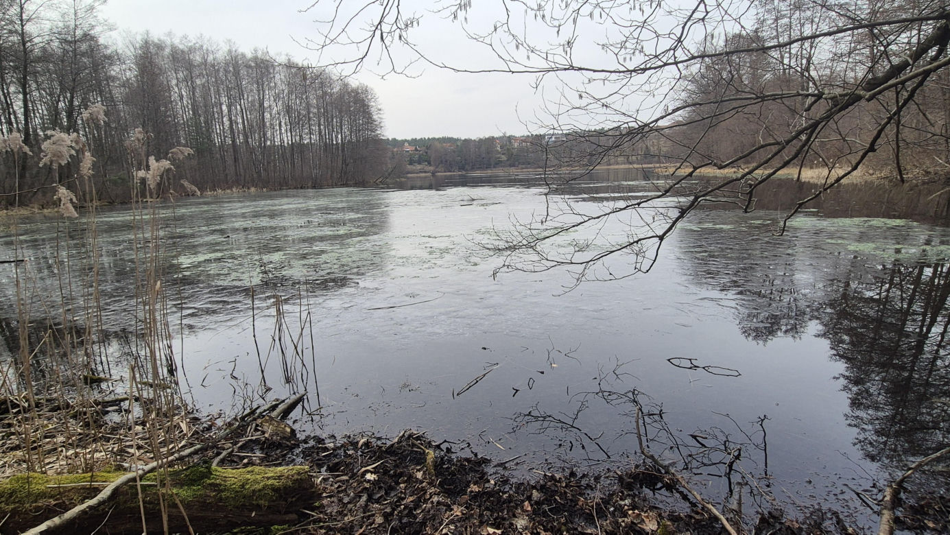 To jedno z najmniejszych jezior w Olsztynie. Prawie nikt o nim nie słyszał, a widoki zachwycają