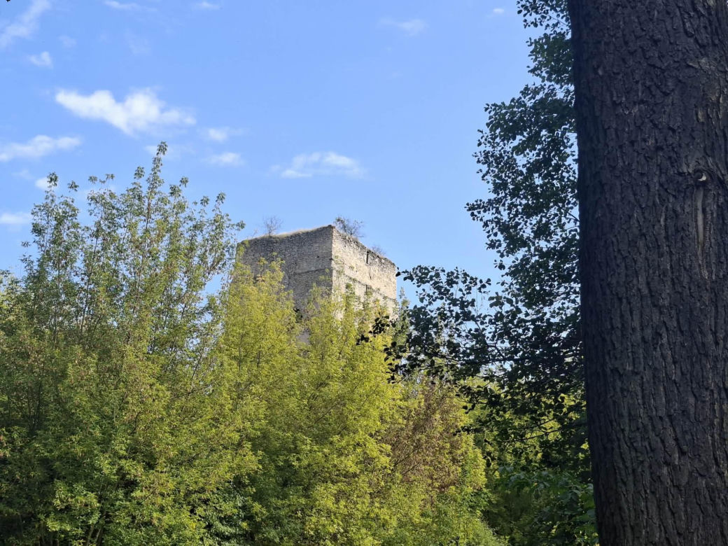 Tudorów
