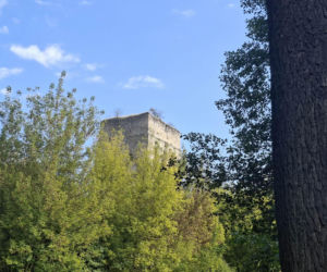 Tudorów