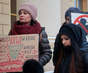 Lublin: Protest w obronie dzików. „Nie dla myśliwych”