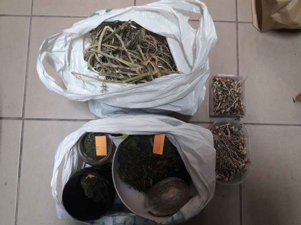 Kraków. Marihuana, amfetamina i grzybki halucynogenne. 30-latków zatrzymano na gorącym uczynku [ZDJĘCIA]
