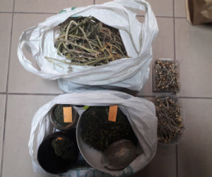 Kraków. Marihuana, amfetamina i grzybki halucynogenne. 30-latków zatrzymano na gorącym uczynku [ZDJĘCIA]
