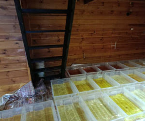 Narkotyki warte 36 milionów złotych. Trzech mężczyzn zatrzymanych przez policję