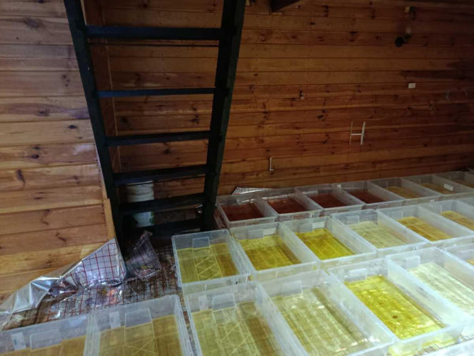 Narkotyki warte 36 milionów złotych. Trzech mężczyzn zatrzymanych przez policję