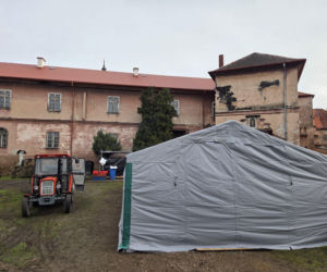 Siostry Benedyktynki ze Staniątek rozpoczęły sprzedaż karpia