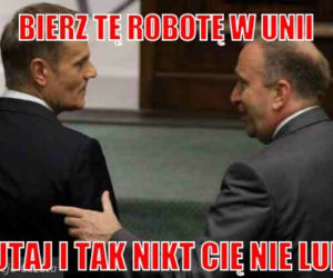 Donald Tusk memy
