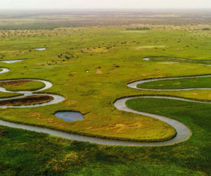 Okavango