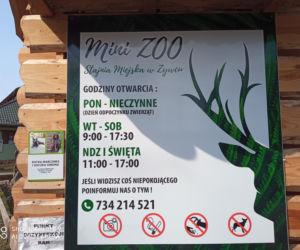 Wiosna wStajni Miejskiej w Żywcu