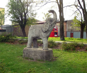 Pomnik słonia w Szczecinie