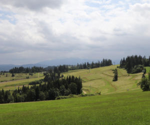 To jedna z najciekawszych wsi w Małopolsce. Jest ozdobą Podhala, a jej mieszkańcy słyną z pobożności