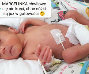 Czworaczki z Bydgoszczy urodziły się 3.03.2020