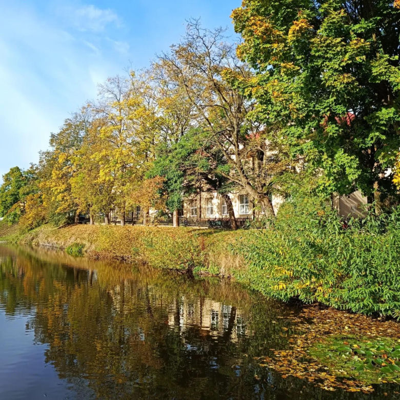 Małopolskie miasto, które przyciąga nowych mieszkańców. Zaludnia się najszybciej w regionie 
