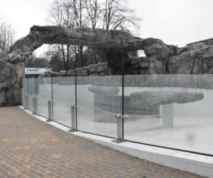 Pingwiny wracają do Śląskiego ZOO