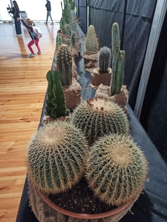 World Flower Show w Poznaniu