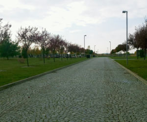 Cmentarz Zachodni w Szczecinie