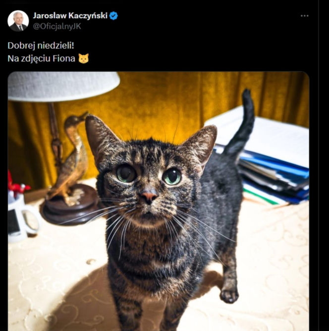 Najsłynniejsze tweety polskiej polityki