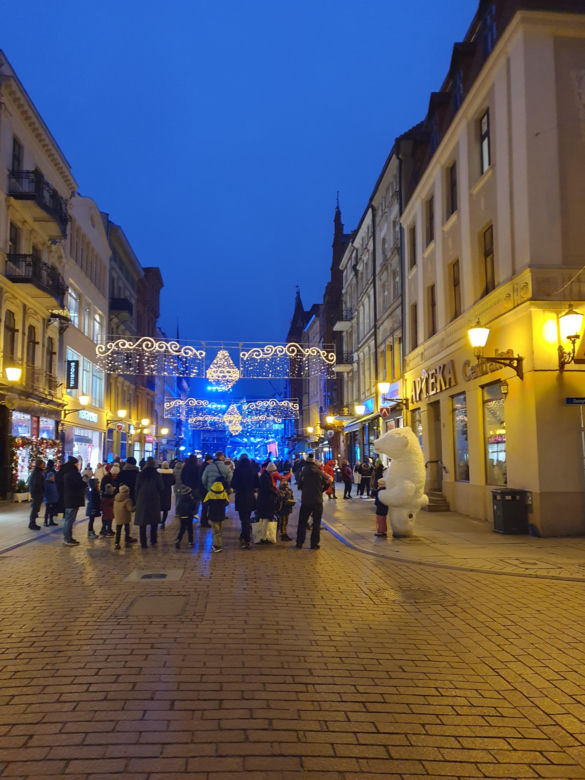 Biały Miś na toruńskiej starówce