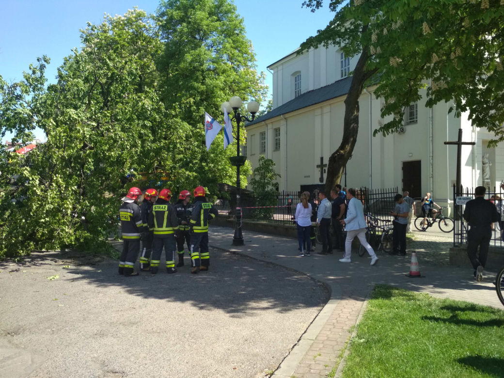 KOŚCIELNE DRZEWO ZWALIŁO SIĘ NA PRZYSTANEK