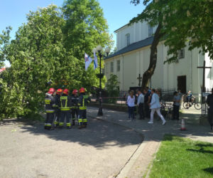 KOŚCIELNE DRZEWO ZWALIŁO SIĘ NA PRZYSTANEK