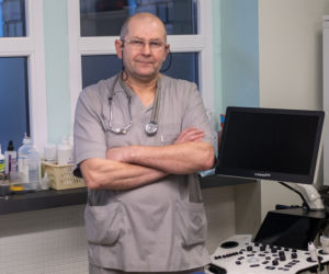 To On operował suczkę, której psy oderwały łapę