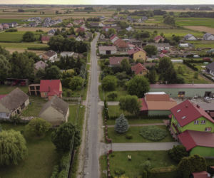 Uwaga! Szakal pod Wrocławiem!