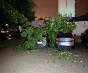 Bałuty po nawałnicy 