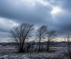 Chełm, 20.11.2025: Co czeka mieszkańców? Pogodowy koszmar czy… zaskakująca niespodzianka?!