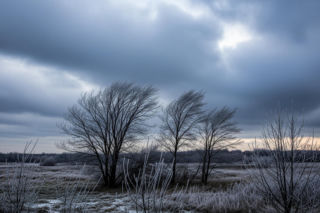 Chełm, 20.11.2025: Co czeka mieszkańców? Pogodowy koszmar czy… zaskakująca niespodzianka?!