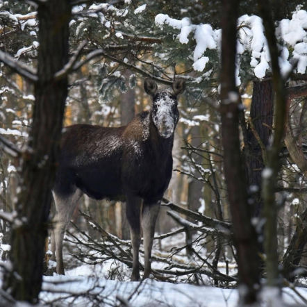 Apel Kampinoskiego Parku Narodowego. Chodzi o ludzi! „Mogą poważnie zaszkodzić”