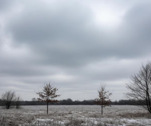 Grajewo zamarza 20.11.2025. Kiedy w końcu poczujemy ciepło?