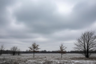 Grajewo zamarza 20.11.2025. Kiedy w końcu poczujemy ciepło?