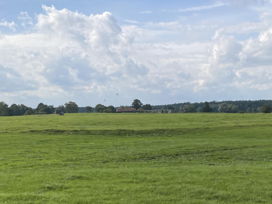 Bitwa o Polanę Ukciańską nad Krutynią