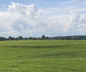 Bitwa o Polanę Ukciańską nad Krutynią
