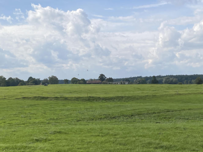 Bitwa o Polanę Ukciańską nad Krutynią