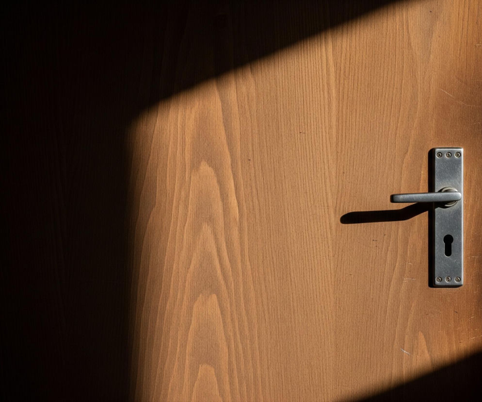 Drewniane drzwi w kolorze brązowym z widocznym usłojeniem zajmują większą część kadru. Na ich powierzchni znajduje się ukośny cień biegnący od lewej górnej części do prawej dolnej. Na prawym marginesie drzwi jest zamontowana srebrna klamka o prostej, poziomej formie, z podłużną, owalną szyldem, w którym widoczny jest otwór na klucz. Po prawej stronie drzwi, częściowo w cieniu, widoczna jest szara ościeżnica z przetarciami, a za nią fragment białej ściany, również częściowo zacienionej.