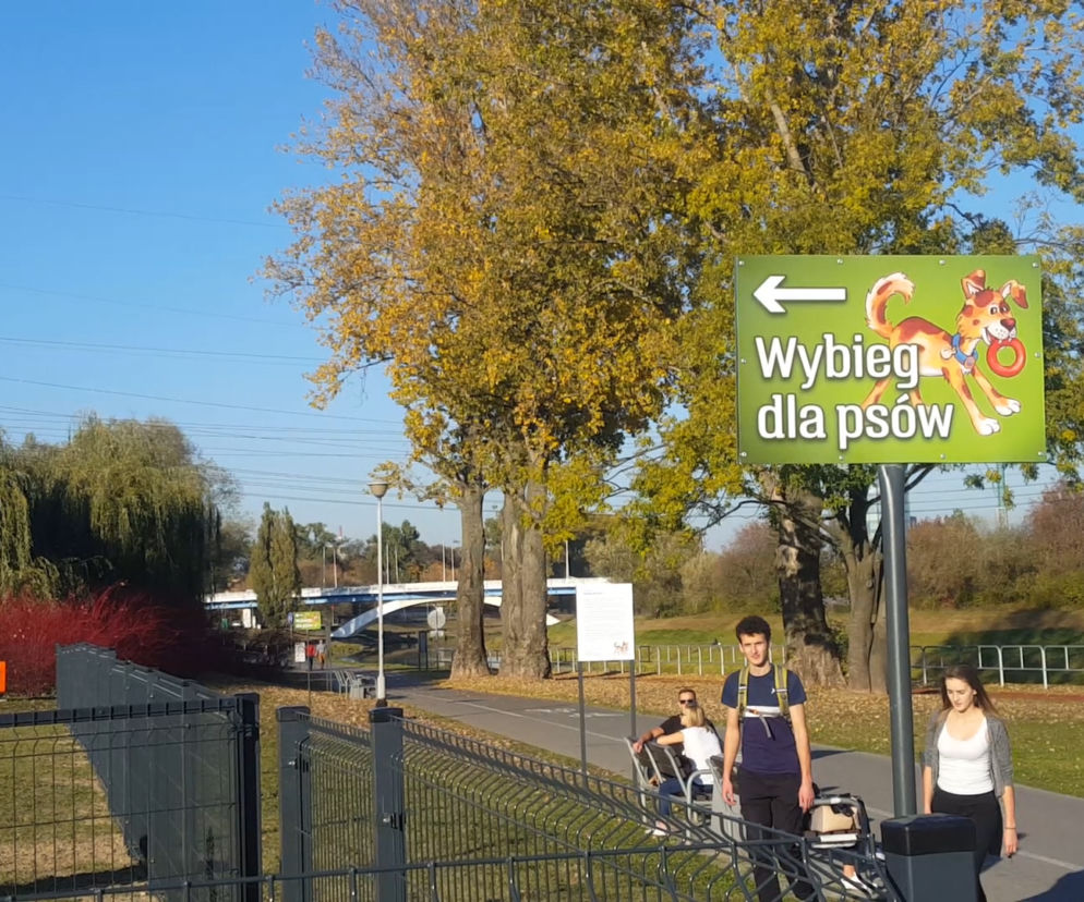 Mieszkańcy Rzeszowa doczekali się Psiego Parku!