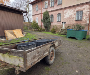 Siostry Benedyktynki ze Staniątek rozpoczęły sprzedaż karpia