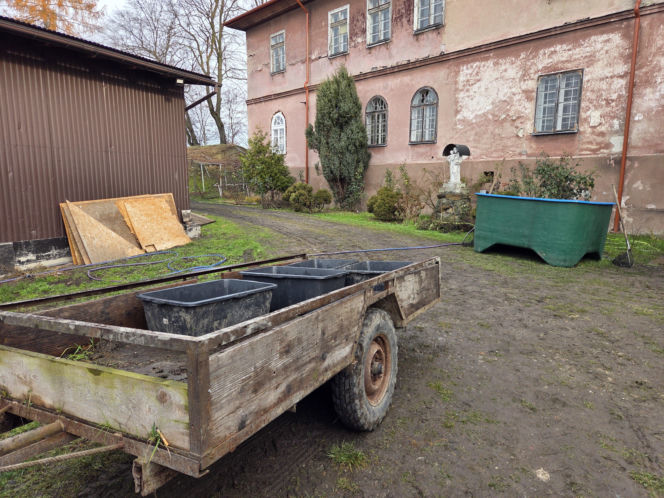 Siostry Benedyktynki ze Staniątek rozpoczęły sprzedaż karpia