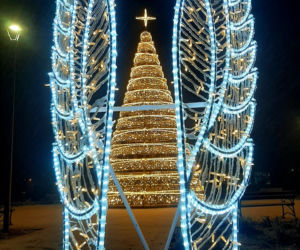 Ze szronem są jeszcze piękniejsze! Świąteczne iluminacje w Łomży