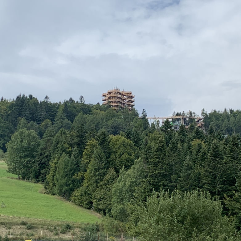 Ścieżka w koronach drzew Krynica Słotwiny