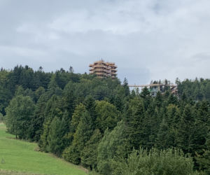 Ścieżka w koronach drzew Krynica Słotwiny
